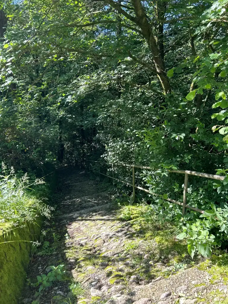 Sentiero verso Piazzalina - tratto finale