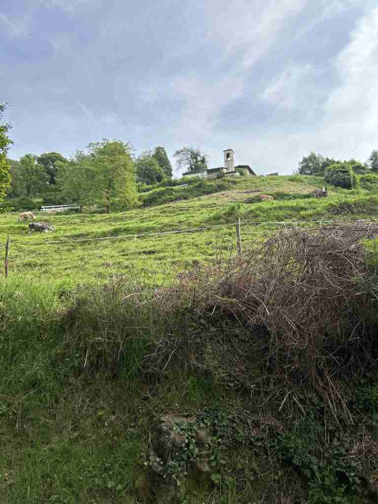 Chiesa di San Ludovico dl basso