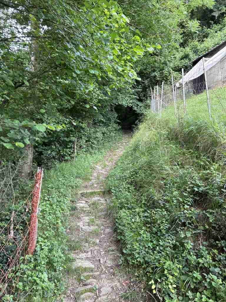 Inizio Mulattiera da Cornello verso Bretto