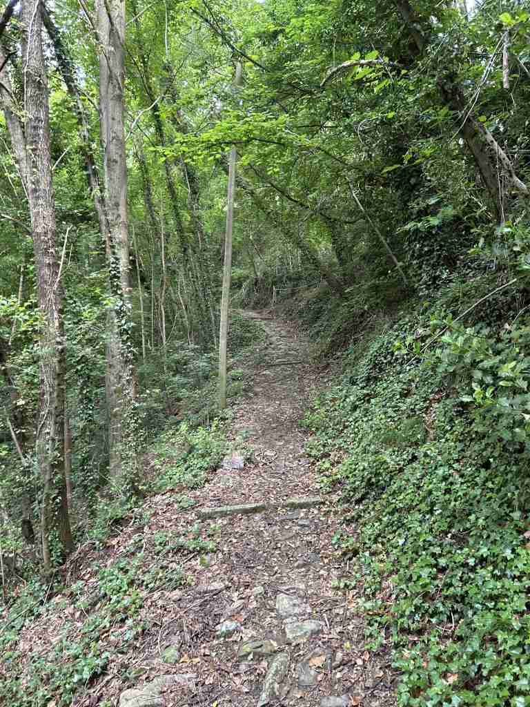 Mulattiera da Cornello verso Bretto da Cornello