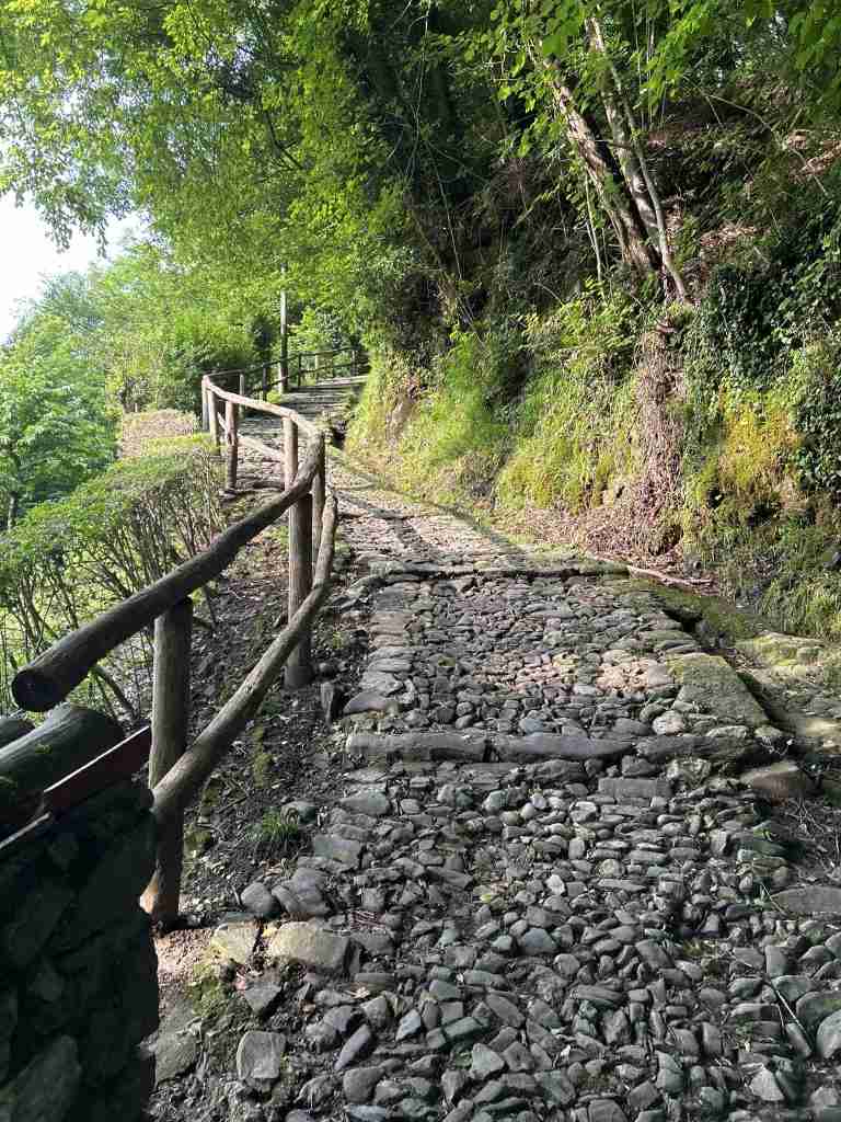 Mulattiera da Camerata a Cornello dei Tasso