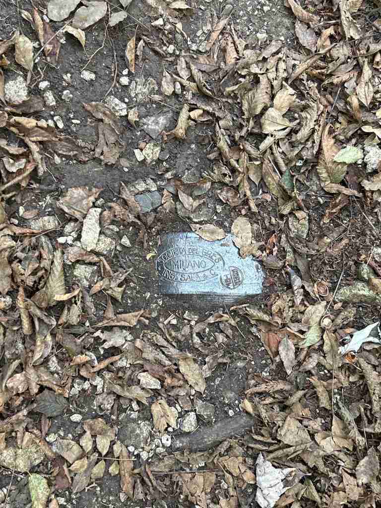 Condotta dell'acqua che affiora lungo il sentiero