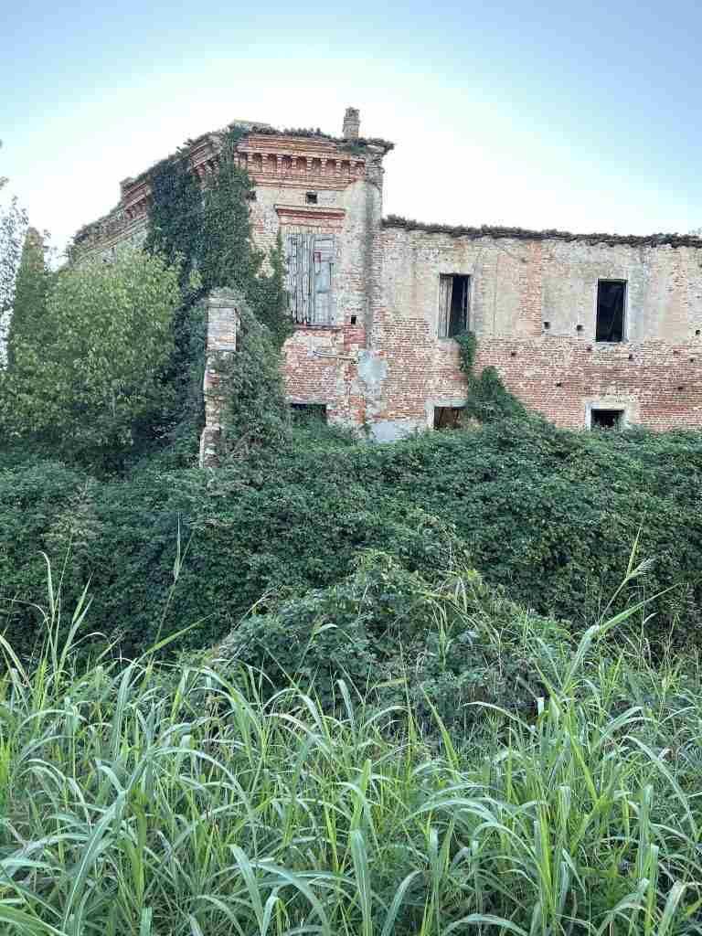 Sul muro a sinistra merlature sommerse da arbusti