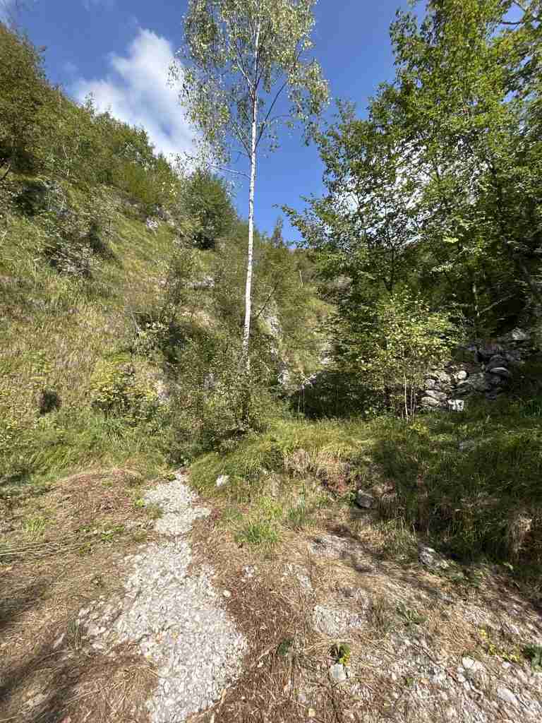 Rocce prevalentemente calcaree per produrre calce