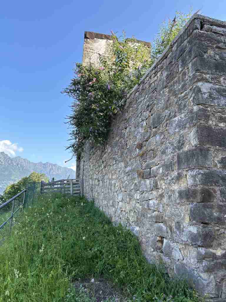 Vegetazione e resti casale diroccato