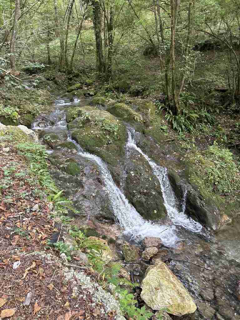 Incantevoli cascatelle d'acqua