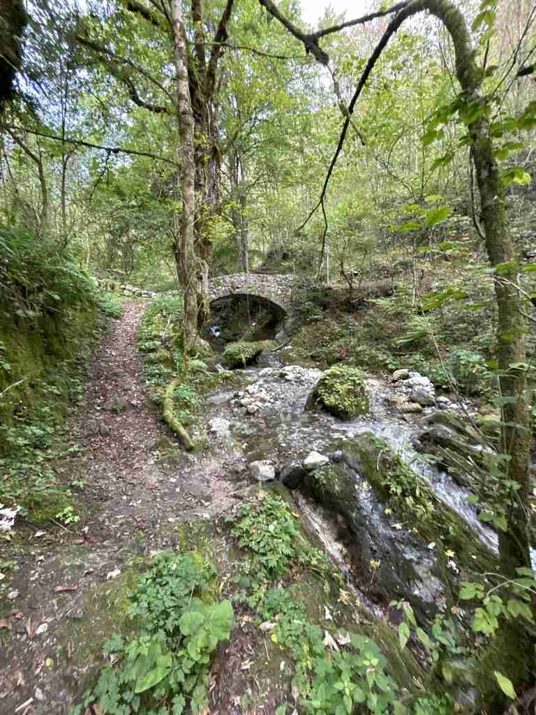Vista del ponticello dal sentiero