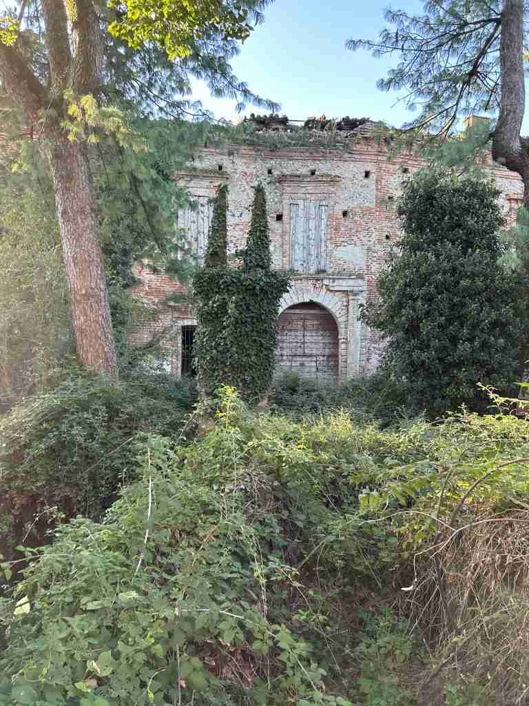 Portone principale: sotto gli arbusti le colonne a cuspide