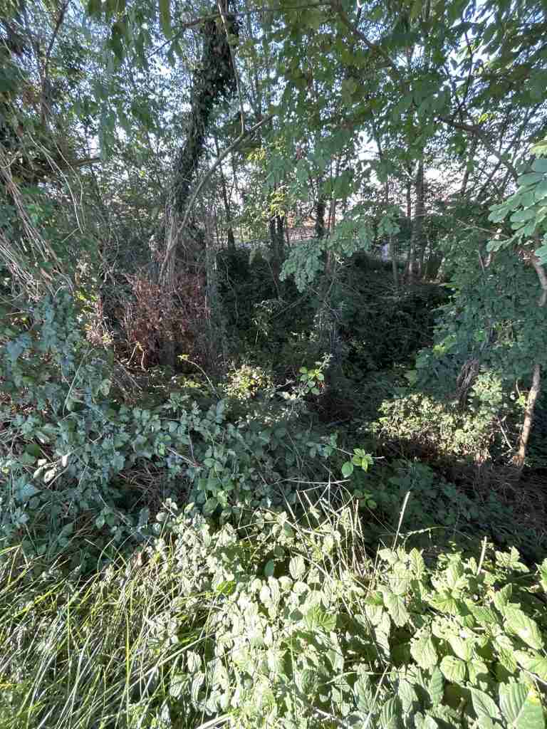 Tratto del "Fosso Bergamasco" sotto la vegetazione