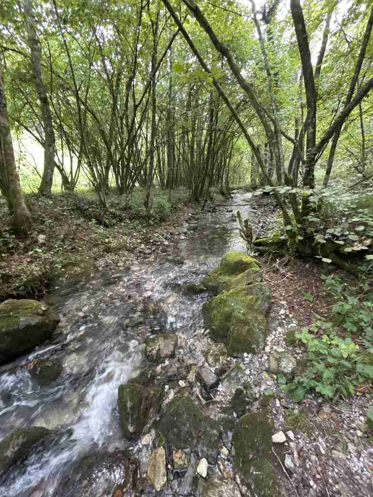 Giochi d'acqua lungo l'alveo