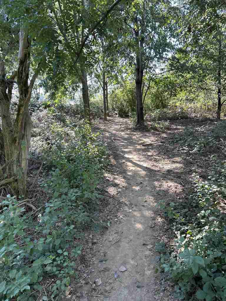 Il Sentiero in alcuni punti subisce deviazioni