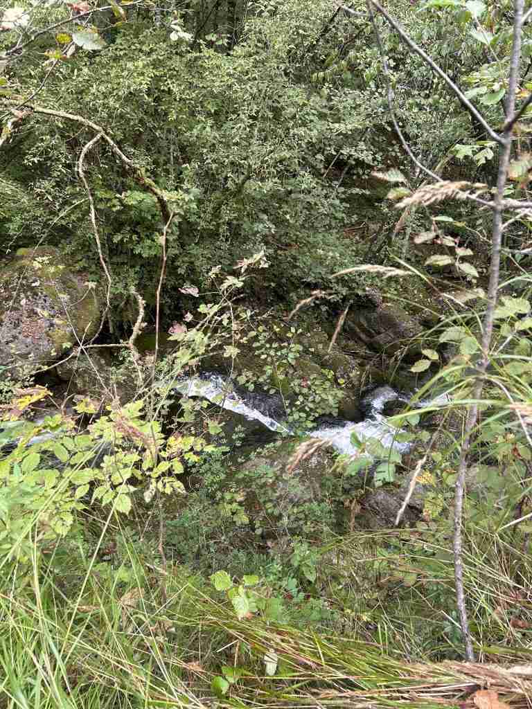 Il sentiero passa più alto rispetto al torrente