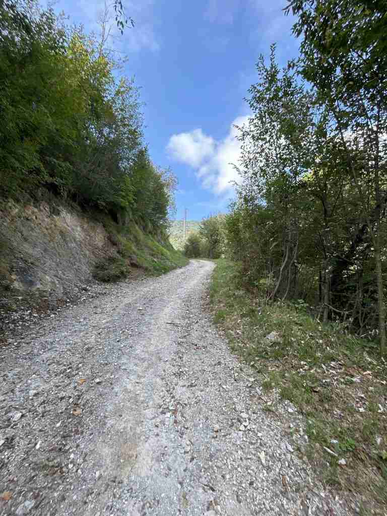 Salita progressiva e continua superando "Cà del Tocio"