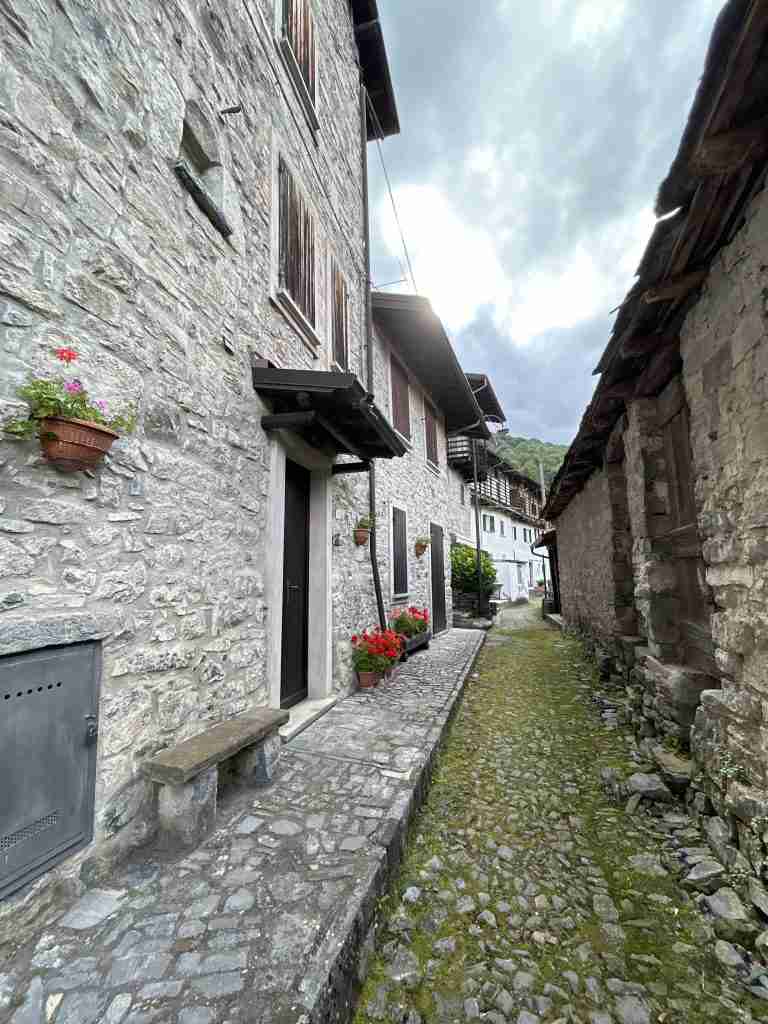 Bosco Entro mulattiera selciata che attraversa il borgo