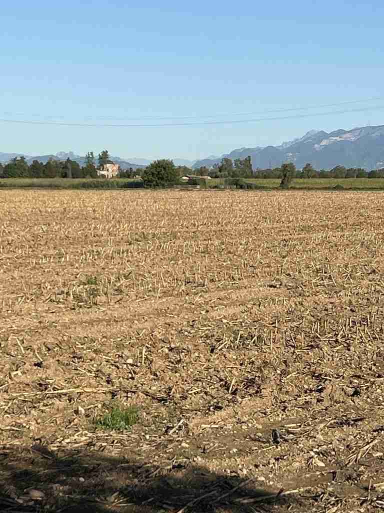 In lontananza I ruderi di Castel Liteggio