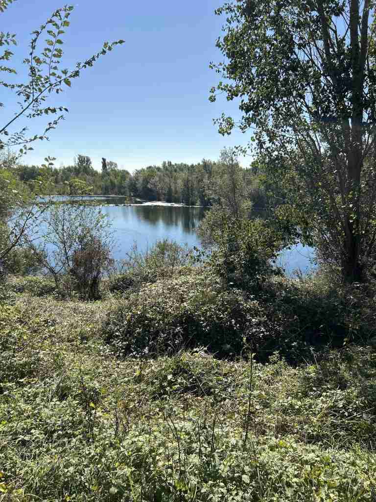 Vista "Laghetto del Guado" (divieto di balneazione)
