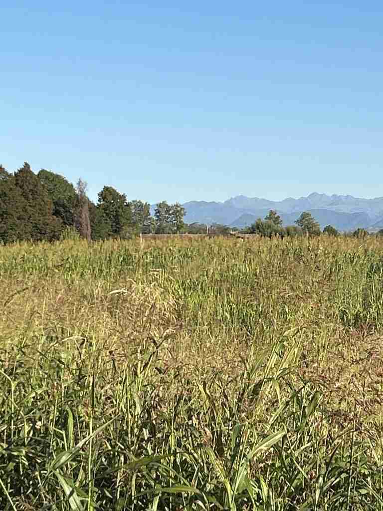 Vista Montagne e ruderi del Castello di Liteggio
