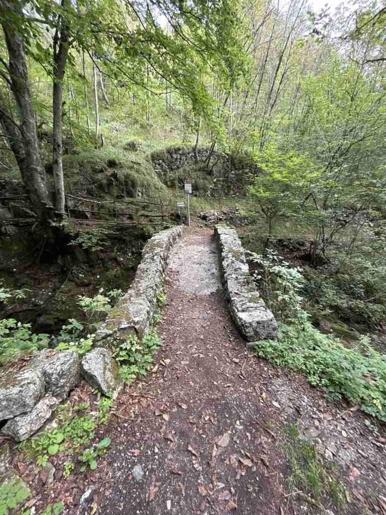 Il Ponte collega le frazioni Aplecchio ed Alino