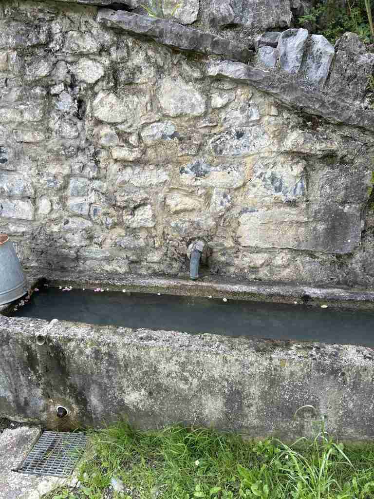 Fontanile a Bosco Fuori