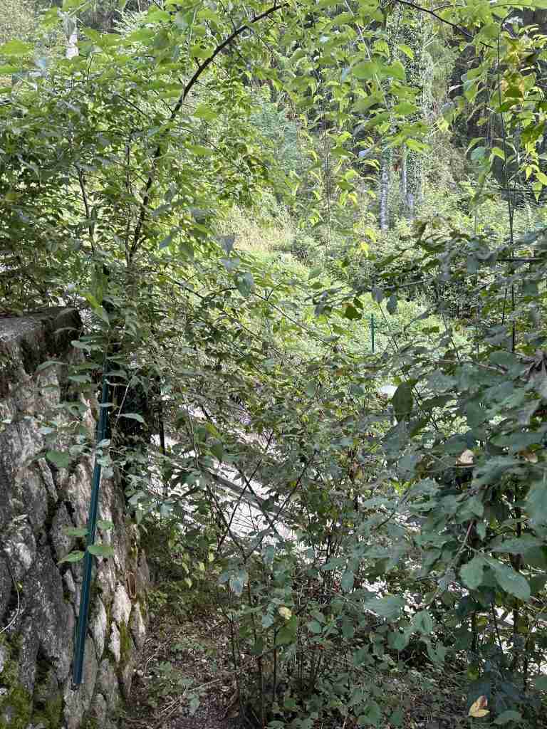 Punto di passaggio contiguo alla Funicolare