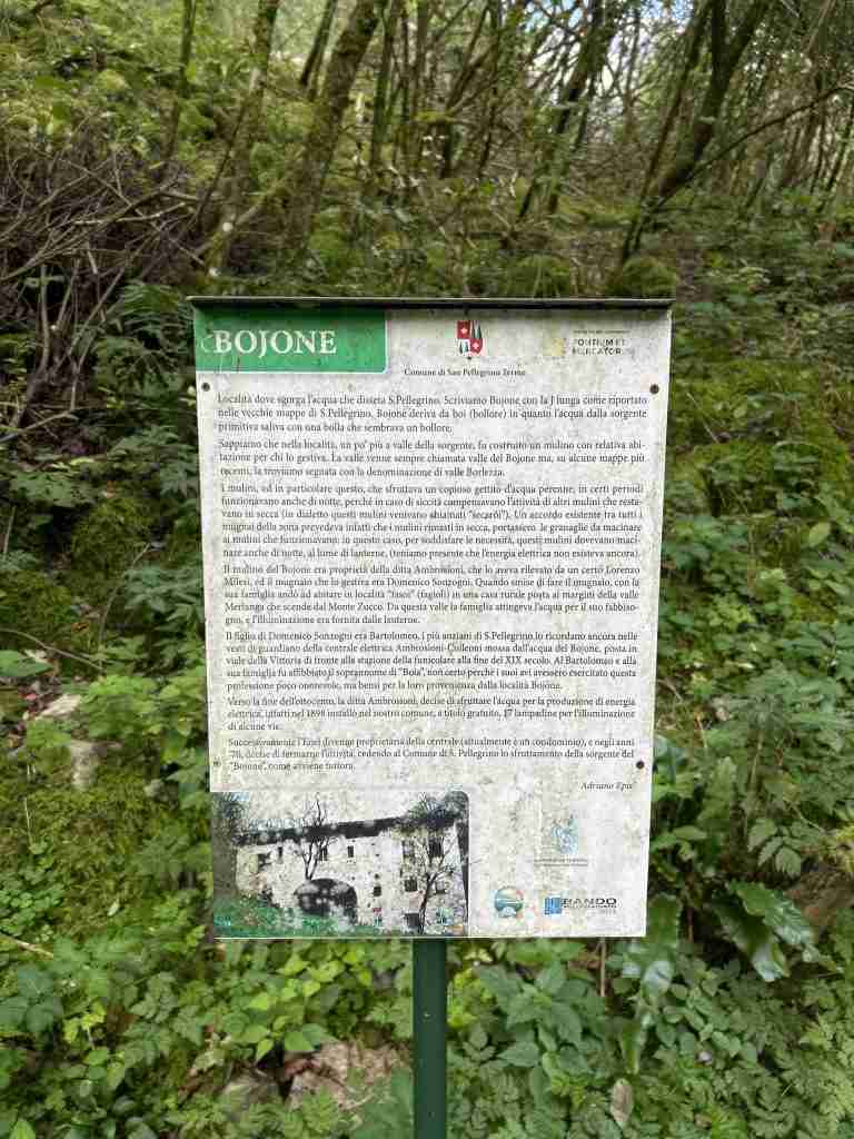 Storiografia dell'etimo "Bojone"