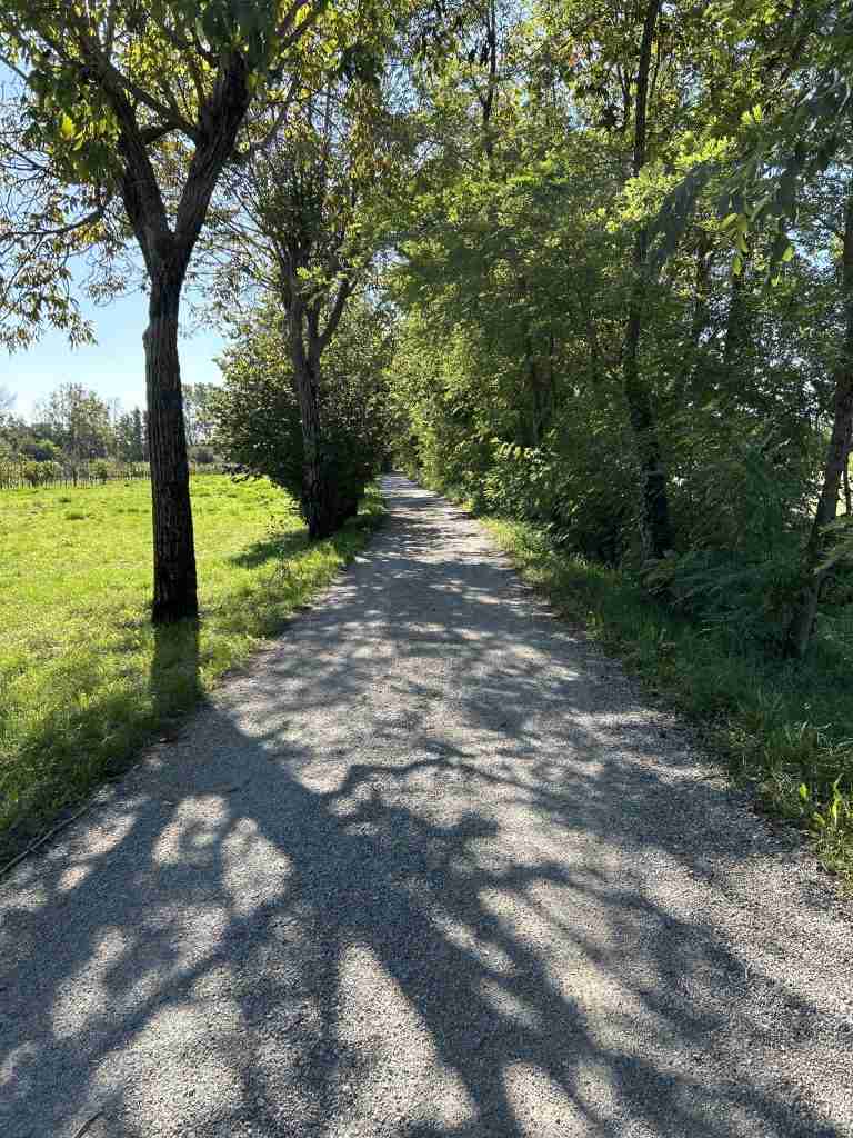 Ritorno su Via delle Gambe