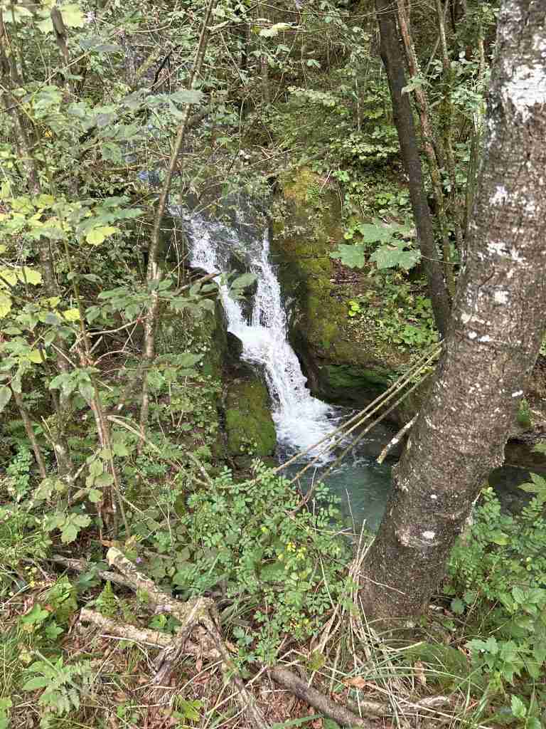 Spettacolo acquatico veramente attraente