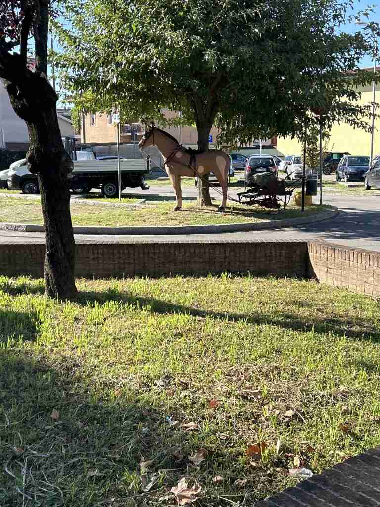 Simil equino con aratro ???? Via Circonvallazione