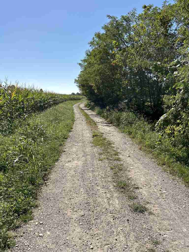 Percorso in mezzo ai campi