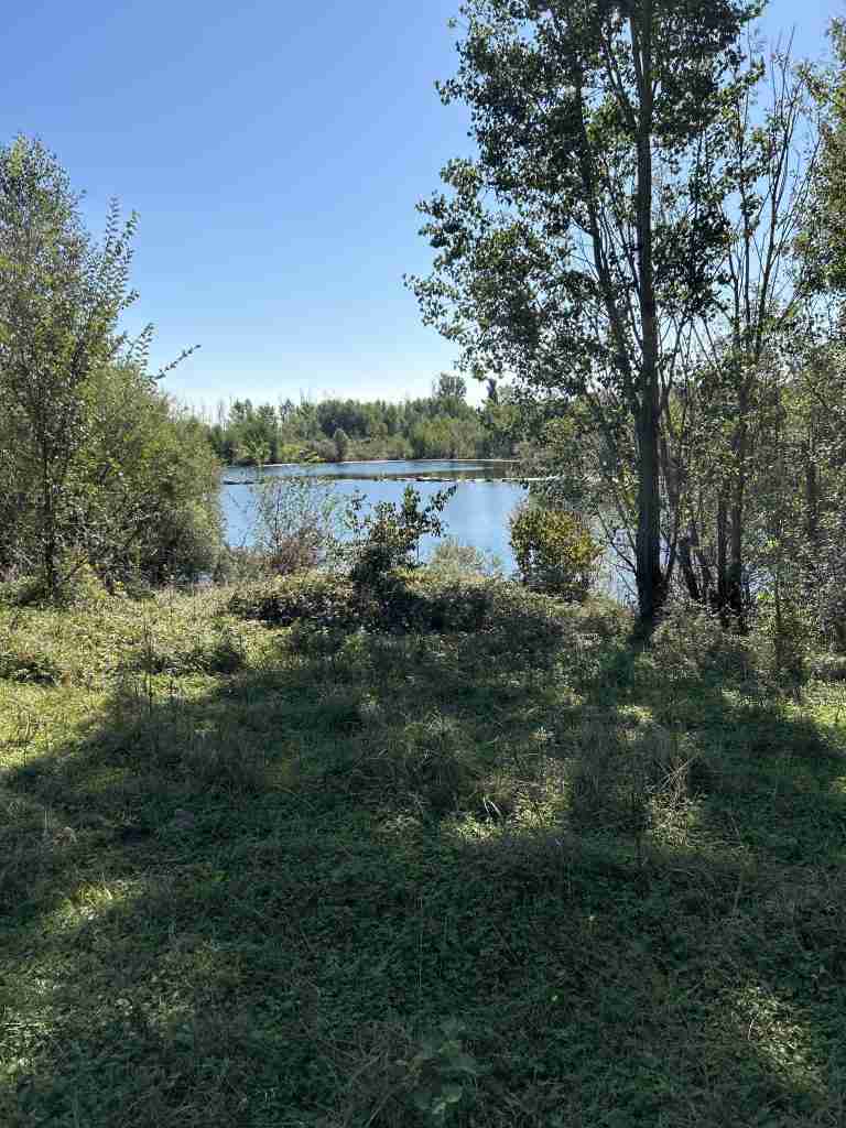 Vista "Laghetto del Guado" (divieto di balneazione)