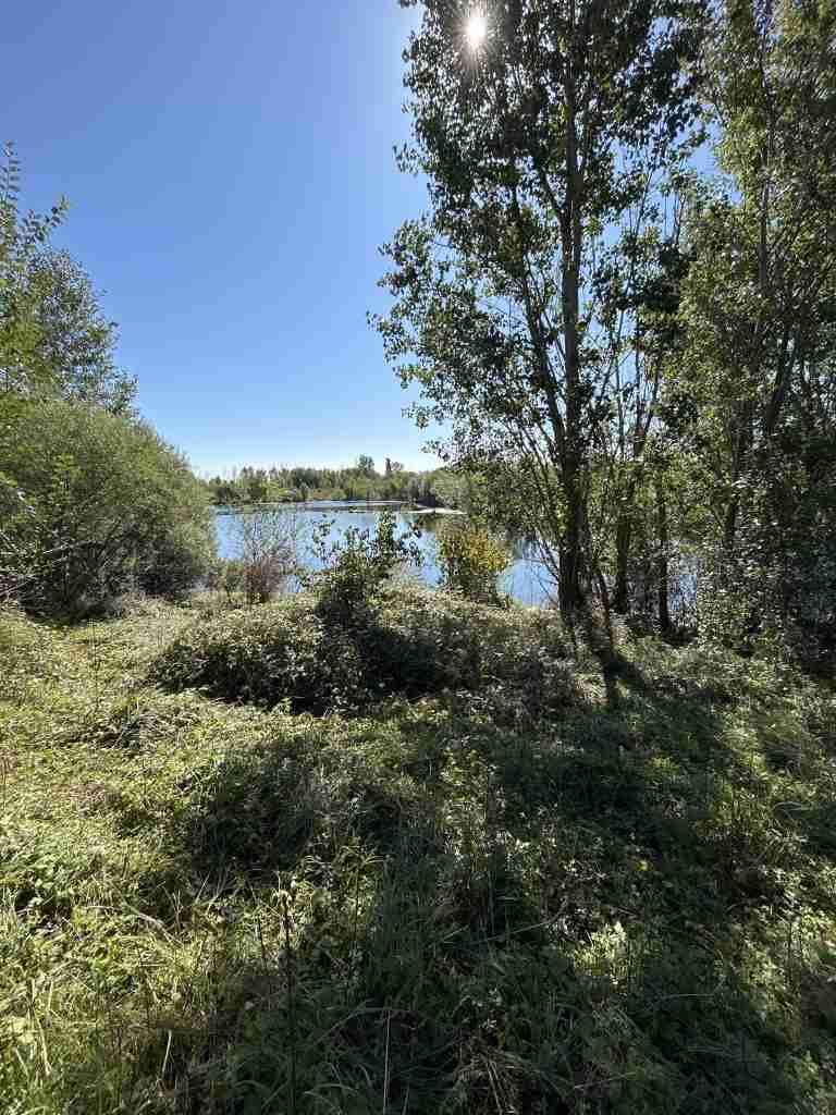 Vista "Laghetto del Guado" (divieto di balneazione)