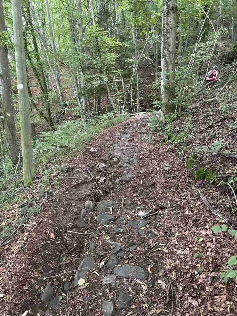 Mulattiera selciata un po' malconcia verso Bosco Entro