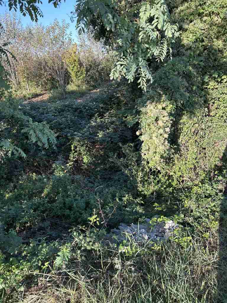 Il "Fosso Bergamasco" antico confine Milano - Venezia