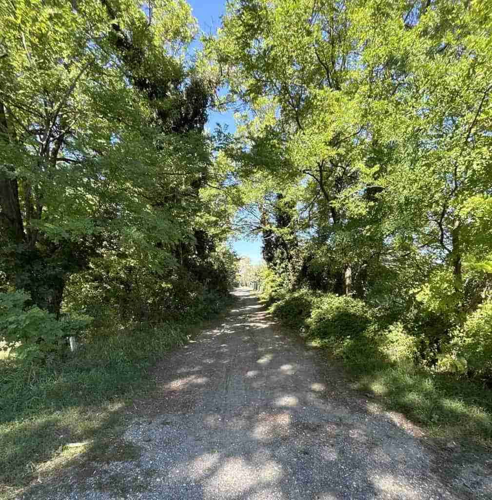 Il tragitto prosegue su fondo ghiaioso