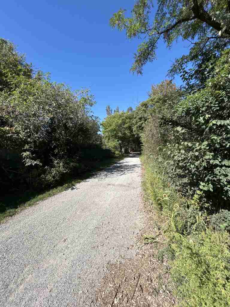 Si alternano zone aperte ad altre più ombrose