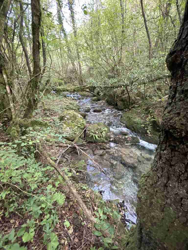 L'acqua scorre formando piccole rapide