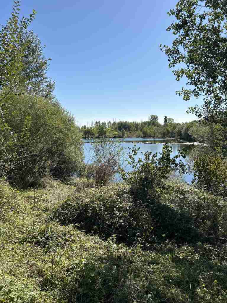 Vista "Laghetto del Guado" (divieto di balneazione)