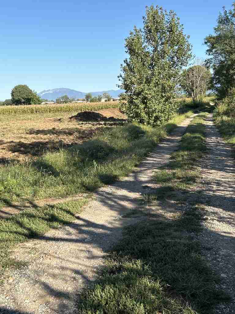 Carrabile sterrata in mezzo ai campi