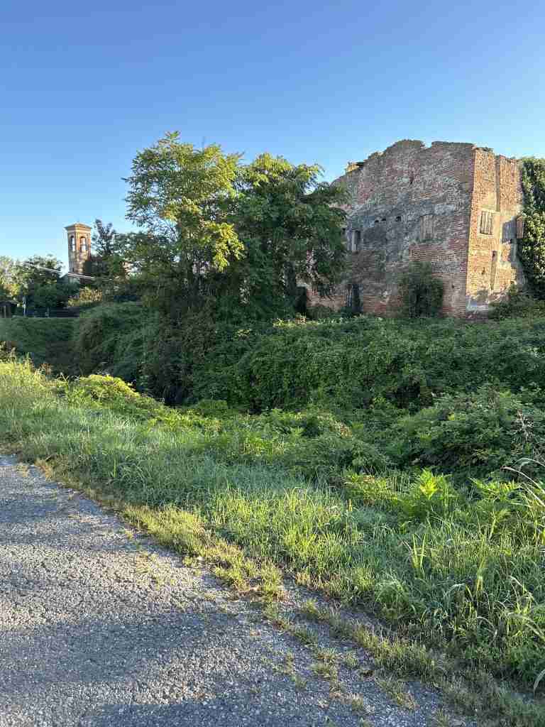 Il fossato é ricoperto dalla vegetazione