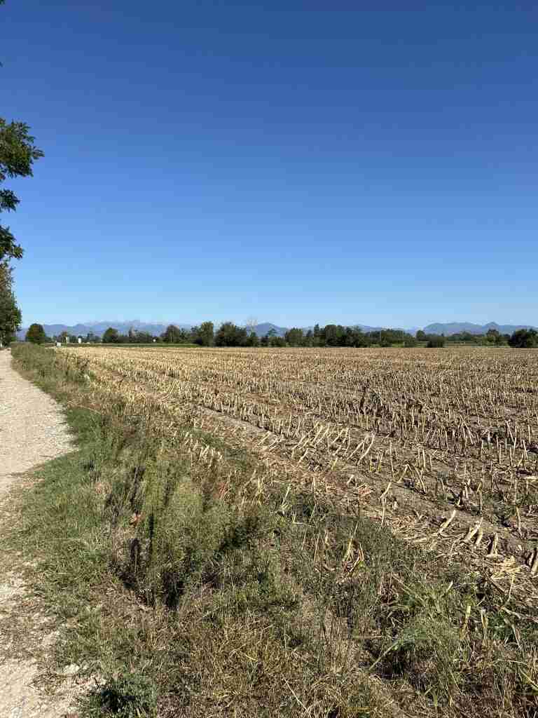 Sullo sfondo area produttiva di Cologno al Serio