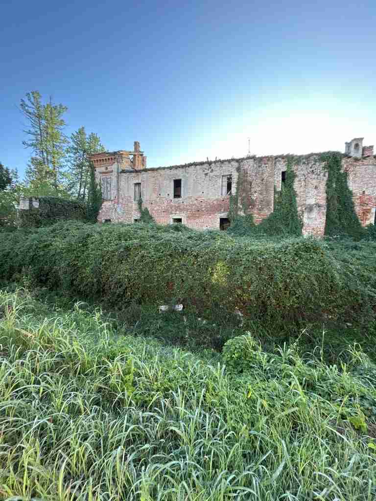 Parte laterale in rovina inghiottita da sterpaglie