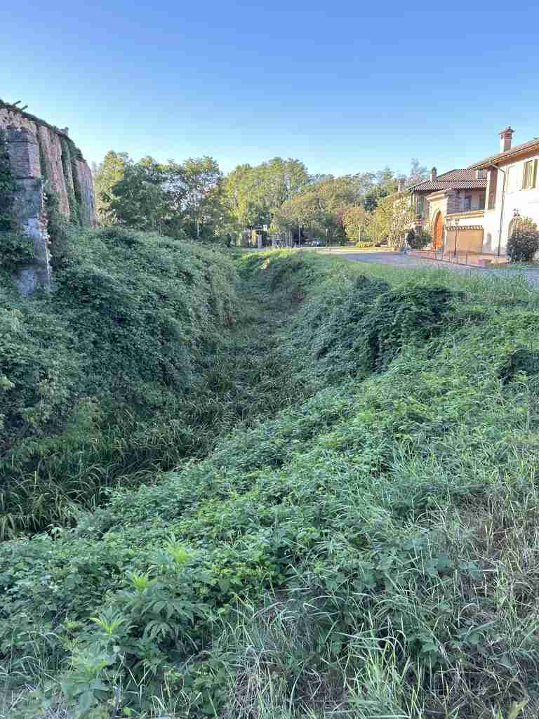 La vegetazione che ricopre il fosso e le ruderi