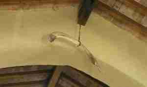 Osso esposto al Santuario di Sombreno - Paladina BG