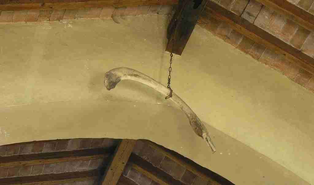 Osso esposto al Santuario di Sombreno - Paladina BG