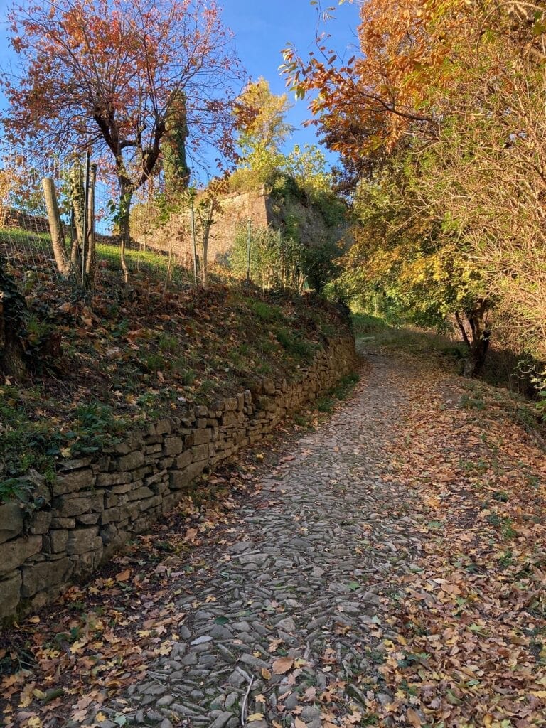 Via del Roccolino (BG)