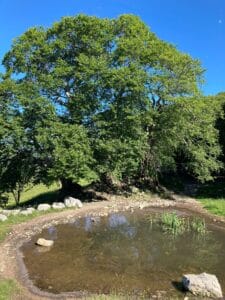 I Tre Faggi - Fuipiano Imagna (BG)