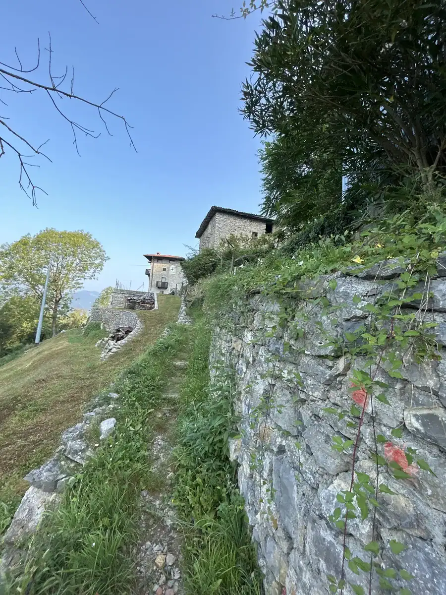 Maroncella - Brembilla (BG)