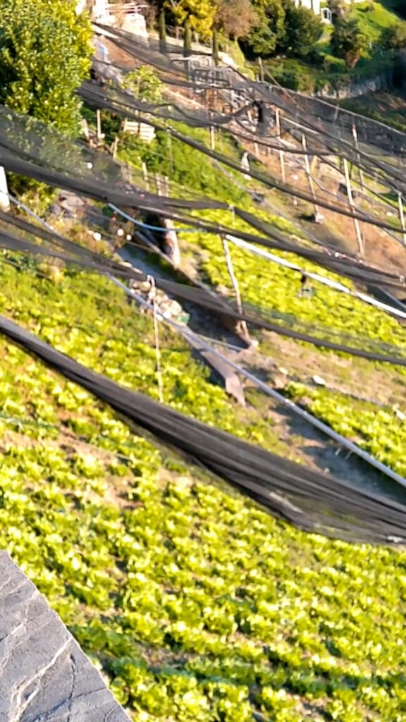 San Martino della Pigrizia - Valle (BG)