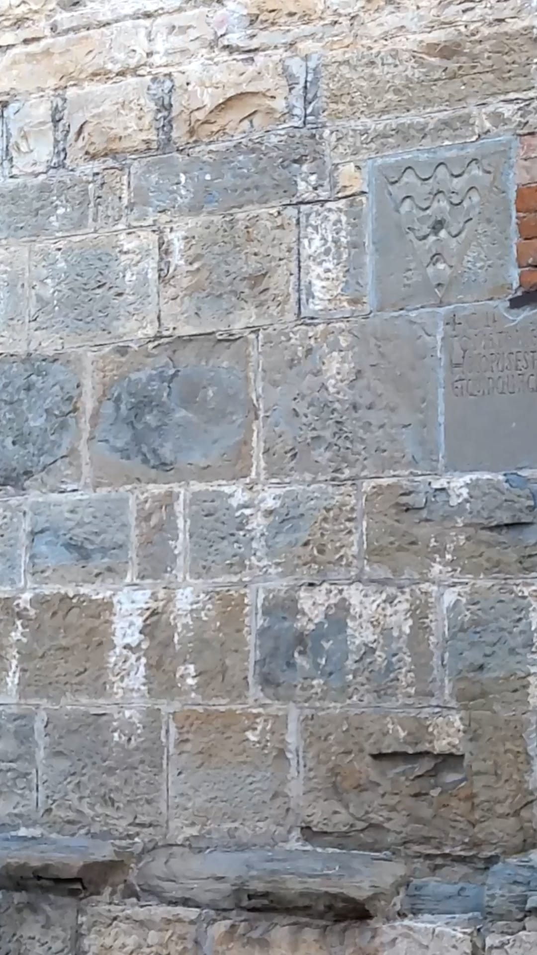 Stongarda di Borgo Canale (BG)