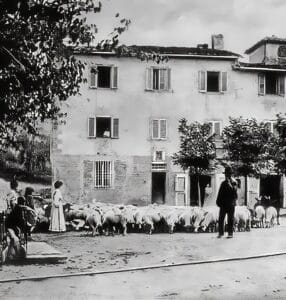 Transumanza, Wikipedia Commons P.D., Chianti